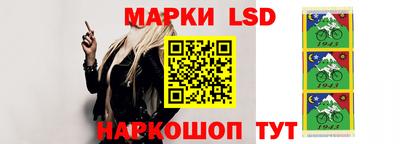 мдпв Гусев