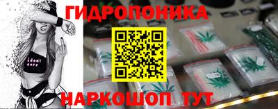 гидропоника Гусь-Хрустальный