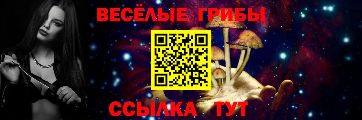 Галлюциногенные грибы прущие грибы Карталы